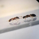 Illustration for article titled Ant colonies are home to endless insect civil wars